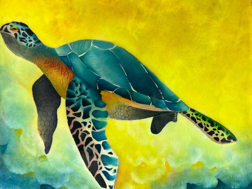 Semi-Realistic Turtle