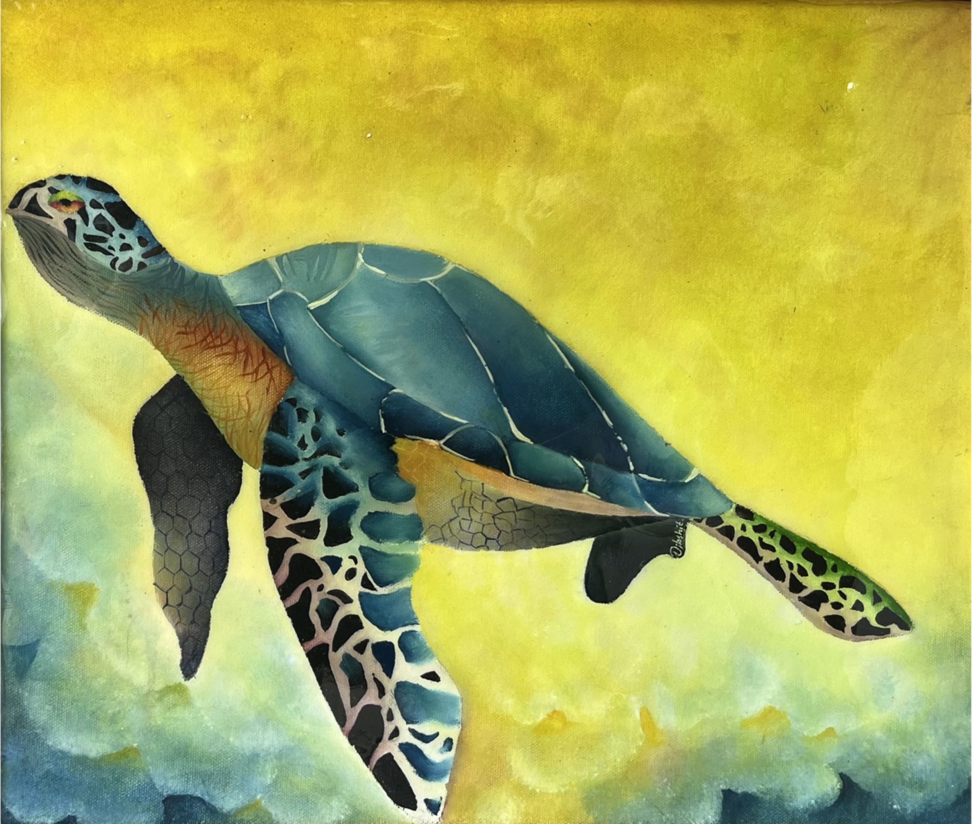 Sea Turtle